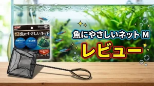 魚にやさしいネットMレビュー！メリットとデメリットを解説
