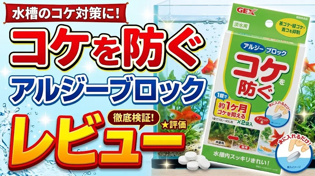 コケを防ぐアルジーブロックレビュー！メリットとデメリットを解説
