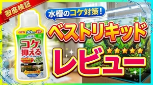 ベストリキッドレビュー！メリットとデメリットを解説