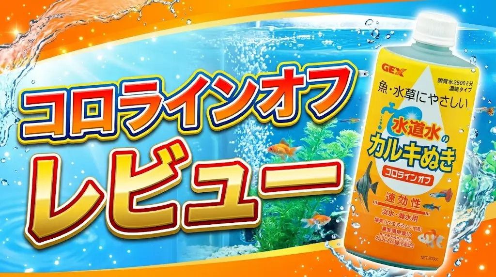 コロラインオフレビュー！メリットとデメリットを解説