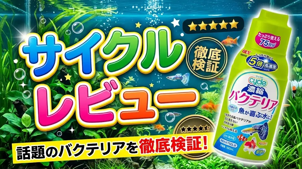 サイクルレビュー！メリットとデメリットを解説