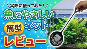 魚にやさしいネット筒型レビュー！メリットとデメリットを解説