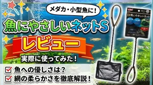 魚にやさしいネットSレビュー！メリットとデメリットを解説