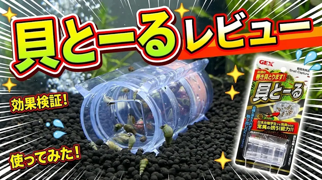 貝と～るレビュー！メリットとデメリットを解説