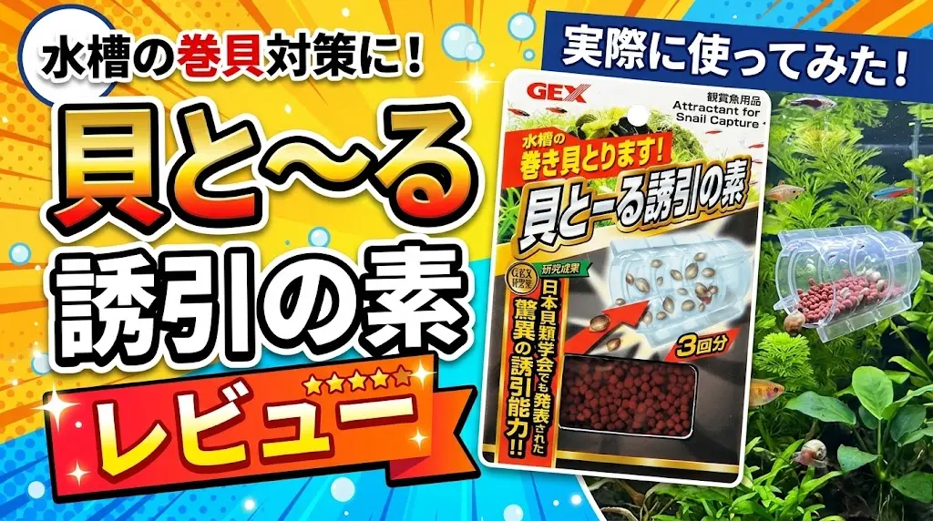 貝と～る誘引の素レビュー！メリットとデメリットを解説