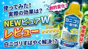NEWピュアWレビュー！メリットとデメリットを解説