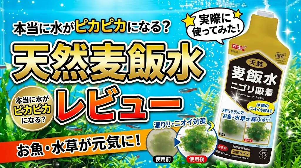 天然麦飯水レビュー！メリットとデメリットを解説