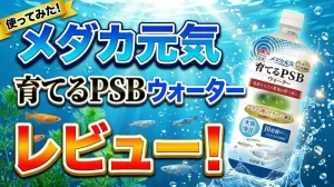 メダカ元気育てるPSBウォーターレビュー！メリットとデメリットを解説