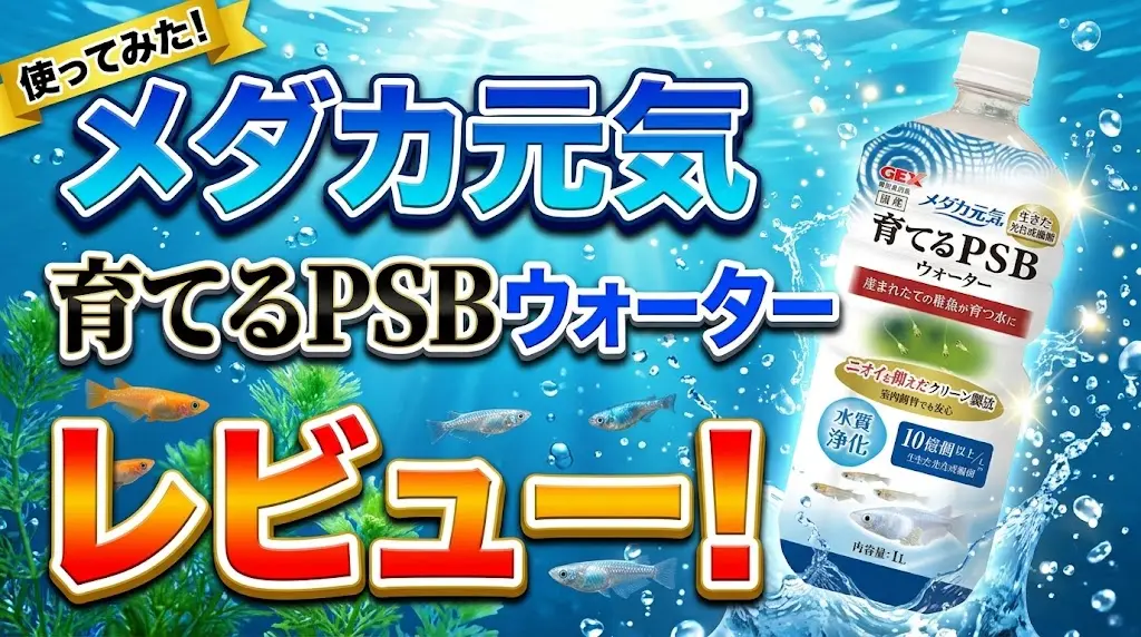 メダカ元気育てるPSBウォーターレビュー！メリットとデメリットを解説