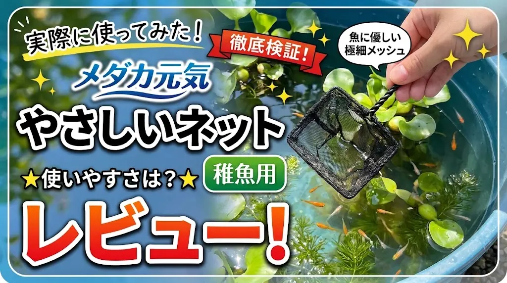 メダカ元気やさしいネット稚魚用レビュー！メリットとデメリットを解説