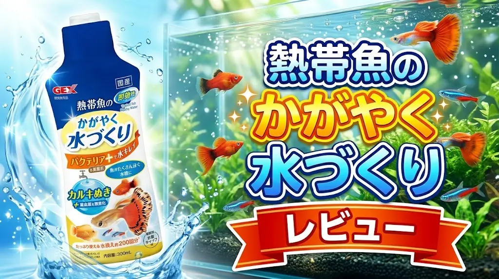 熱帯魚のかがやく水づくりレビュー！メリットとデメリットを解説